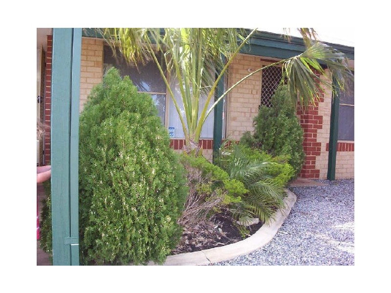 6 Bilya Gardens, Leda WA 6170