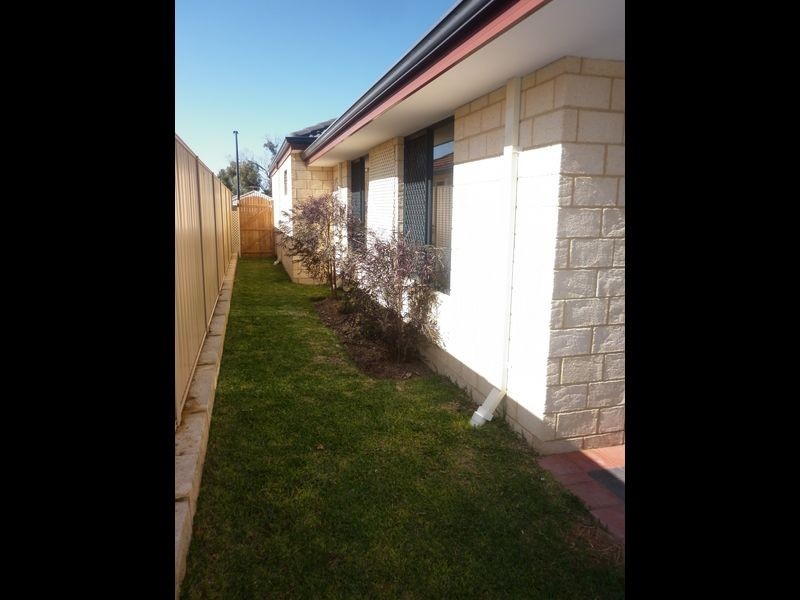 31 Millbrook Avenue, Bertram WA 6167