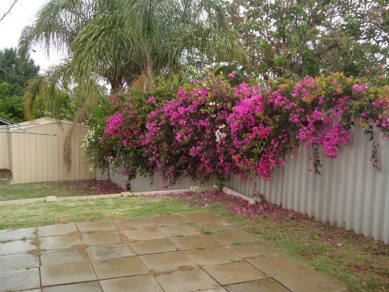 46 Tunnicliffe Street, Parmelia WA 6167