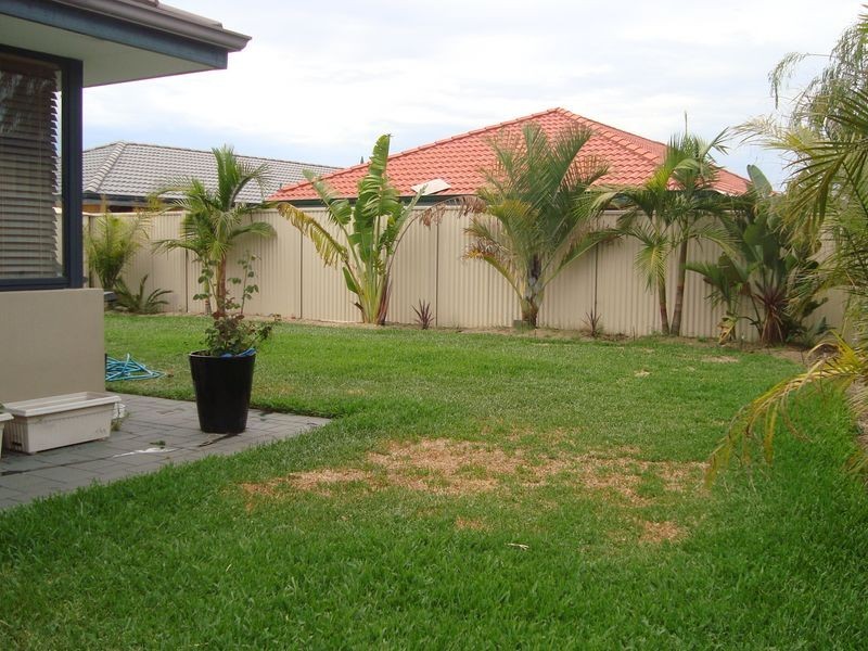 11 Ameer Crescent, Bertram WA 6167