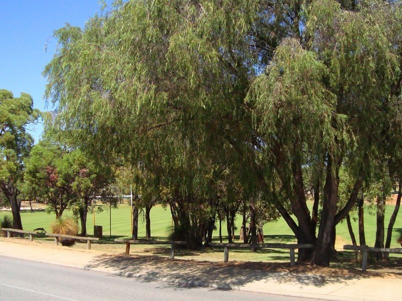 35B Christmas Avenue, Orelia WA 6167