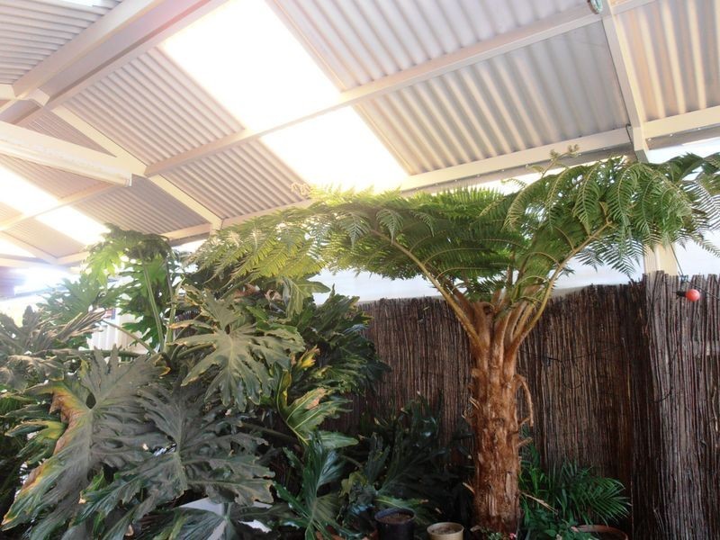 8 Minstrell Road, Bertram WA 6167