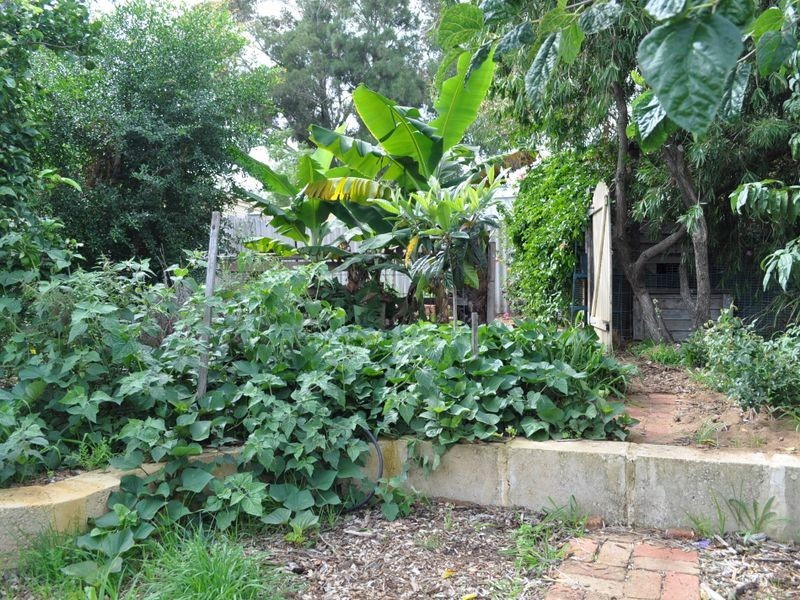 47 Chisham Avenue, Parmelia WA 6167