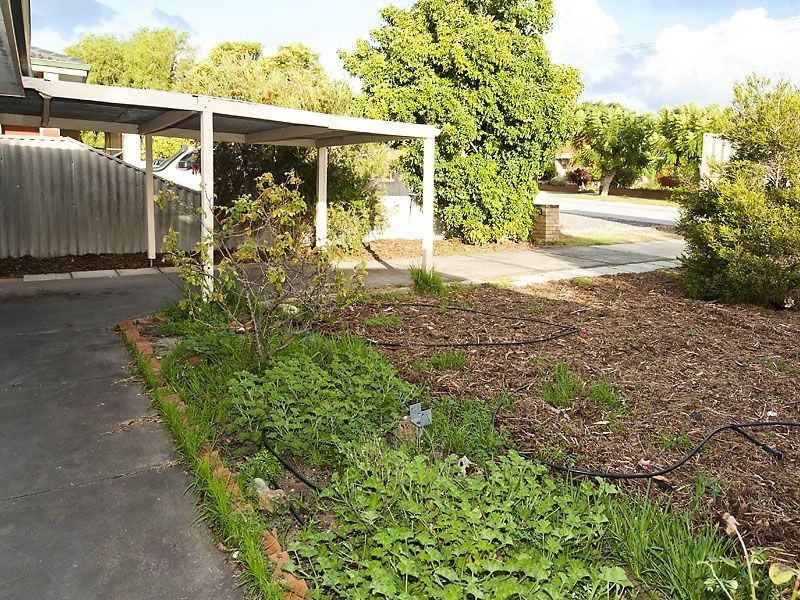 41 Adamson Rd, Parmelia WA 6167