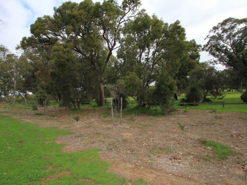 19 Westbrook Street, Calista WA 6167