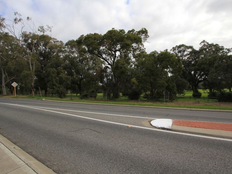 19 Westbrook Street, Calista WA 6167