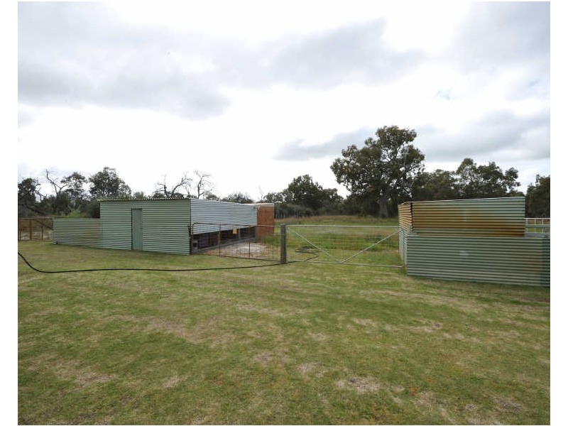 102 Born Rd, Casuarina WA 6167