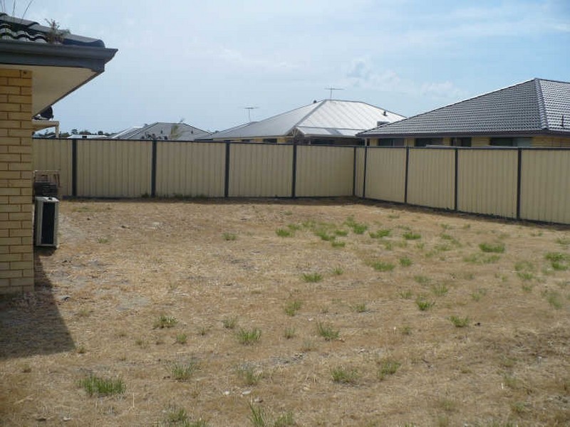 21 Daintree Loop, Bertram WA 6167