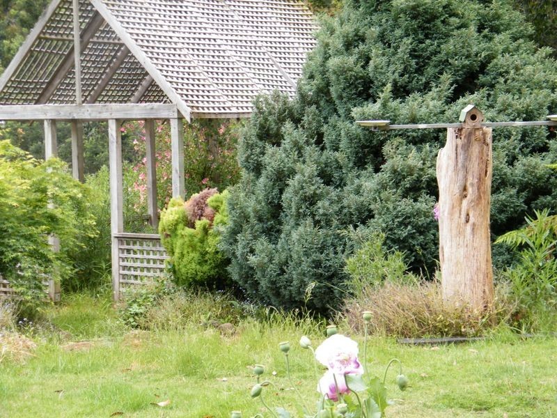 Nicholls Rivulet TAS 7112