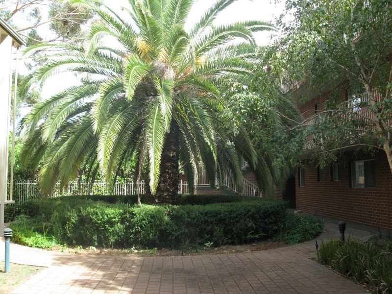 17/14 Canham Way, Orelia WA 6167