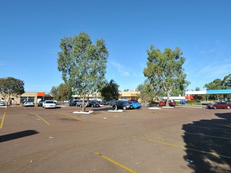 20 Feilman Drive, Leda WA 6170