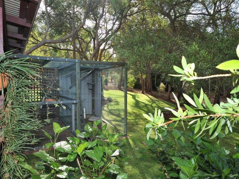 19 Blacksmith Drive, Wellard WA 6170