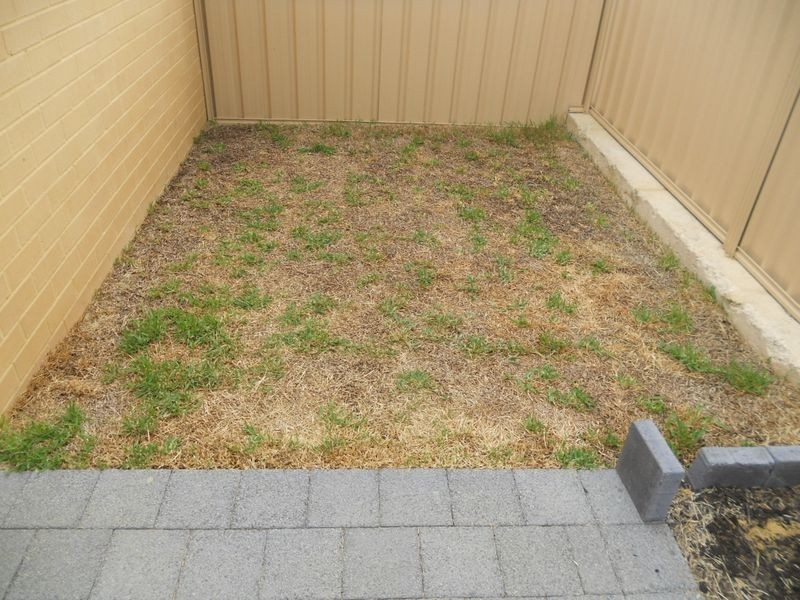 10 Darton Loop, Bertram WA 6167