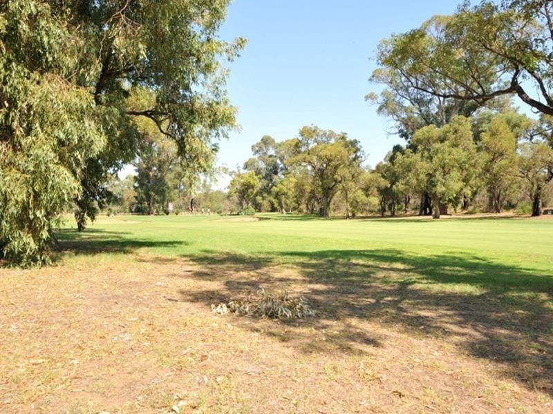 7 David Place, Calista WA 6167