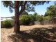 64 Mulligan Way, Orelia WA 6167
