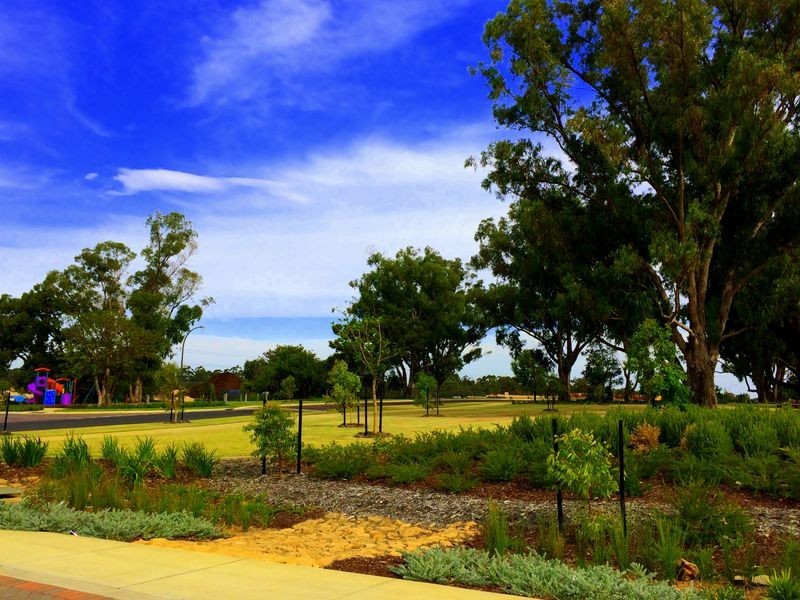 6 Solstice Bend, Wellard WA 6170