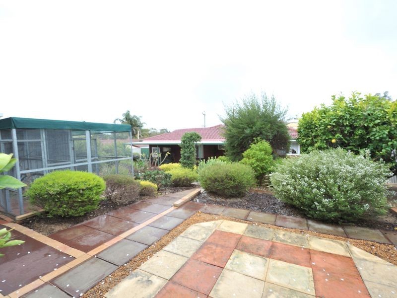 10 Hennessy Avenue, Orelia WA 6167