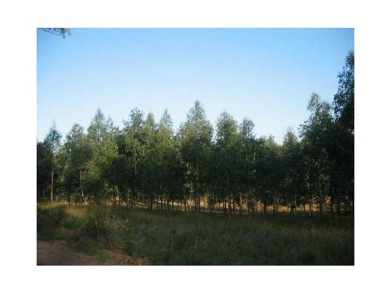 Tabulam NSW 2469