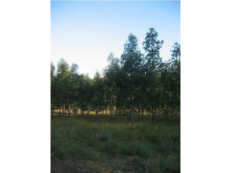 Tabulam NSW 2469