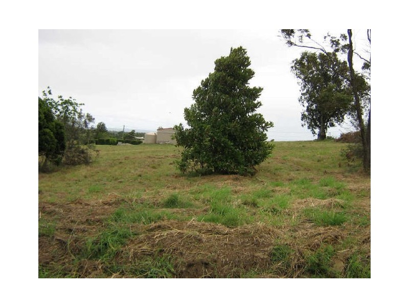 Spring Grove NSW 2470