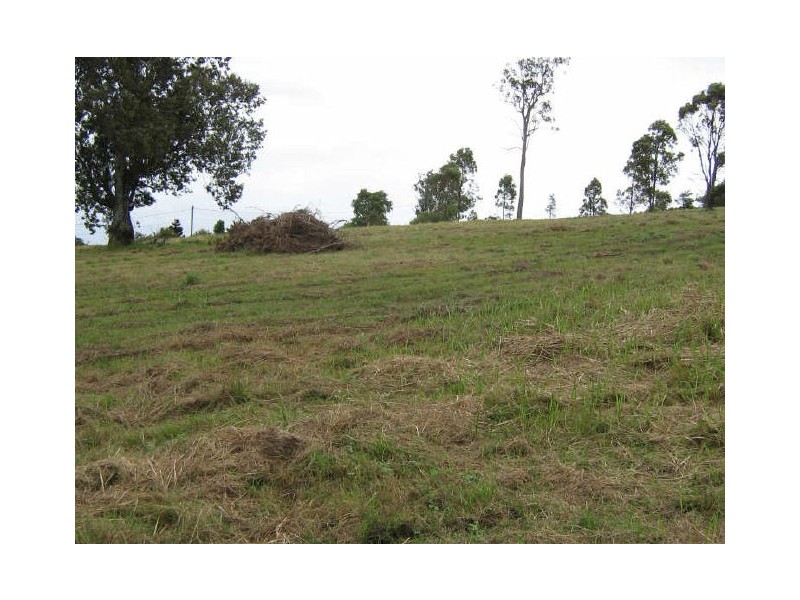 Spring Grove NSW 2470