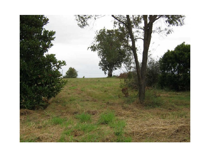 Spring Grove NSW 2470