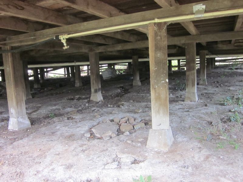 13146 Clarence Way, Bottle Creek NSW 2469