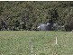 Corndale NSW 2480