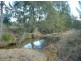 Bottle Creek NSW 2469