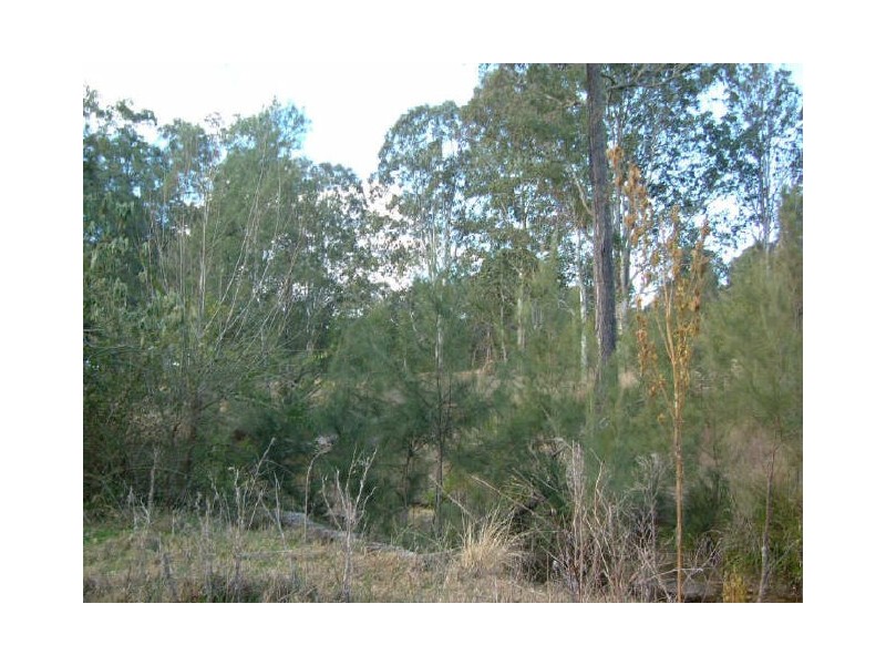 Bottle Creek NSW 2469