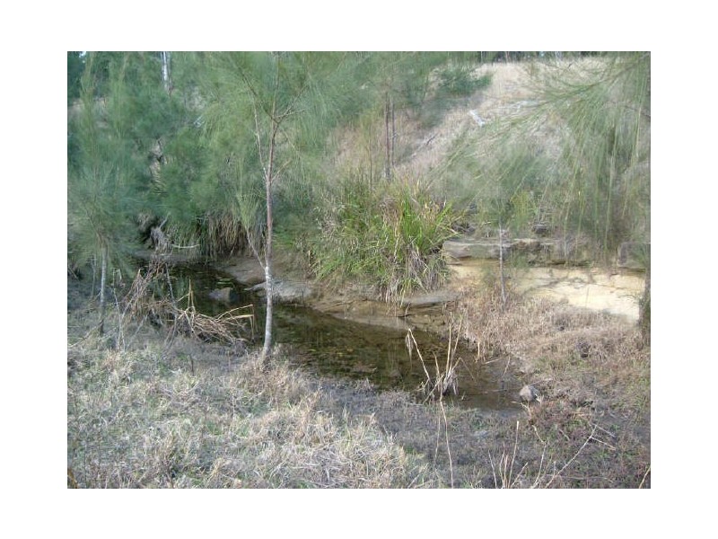 Bottle Creek NSW 2469
