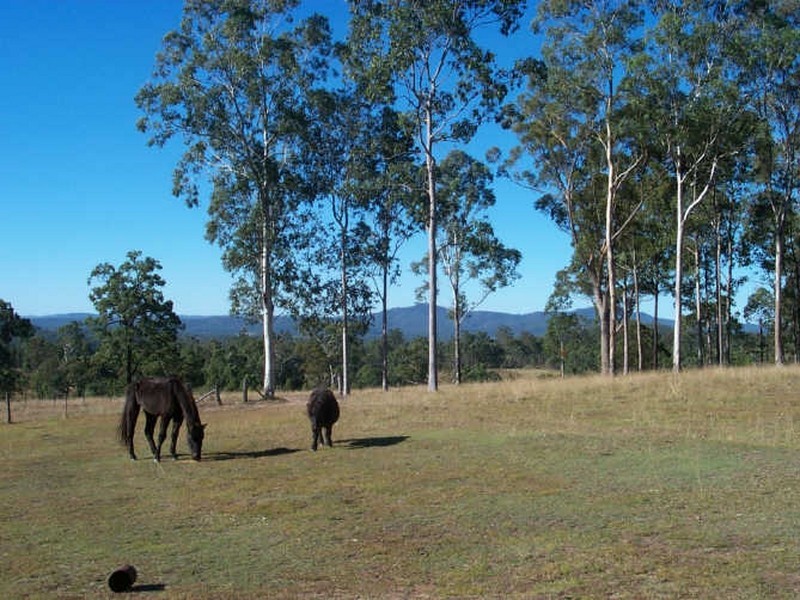 261 Bulldog Rd, Tabulam NSW 2469