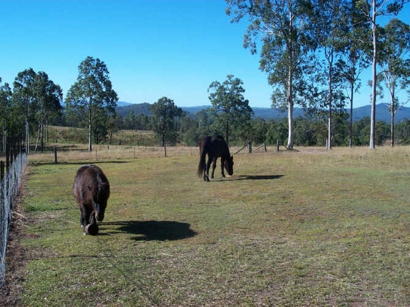 261 Bulldog Rd, Tabulam NSW 2469