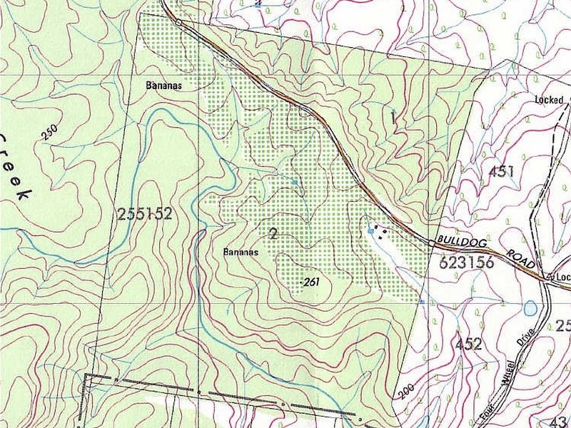 261 Bulldog Rd, Tabulam NSW 2469