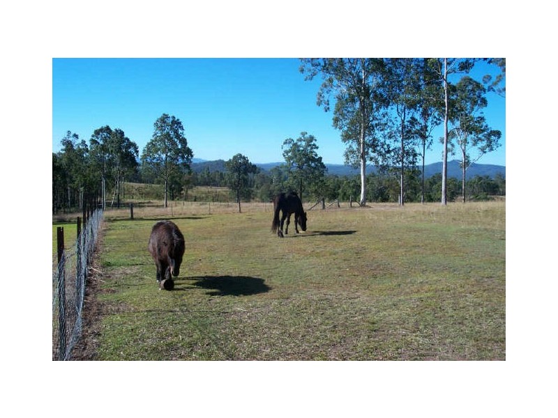 261 Bulldog Rd, Tabulam NSW 2469