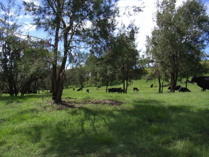 Banyabba NSW 2469