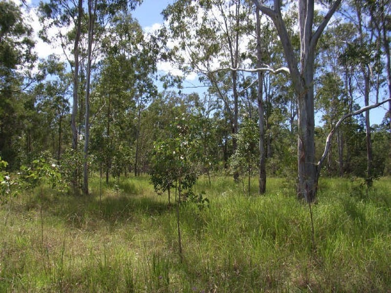 Banyabba NSW 2469