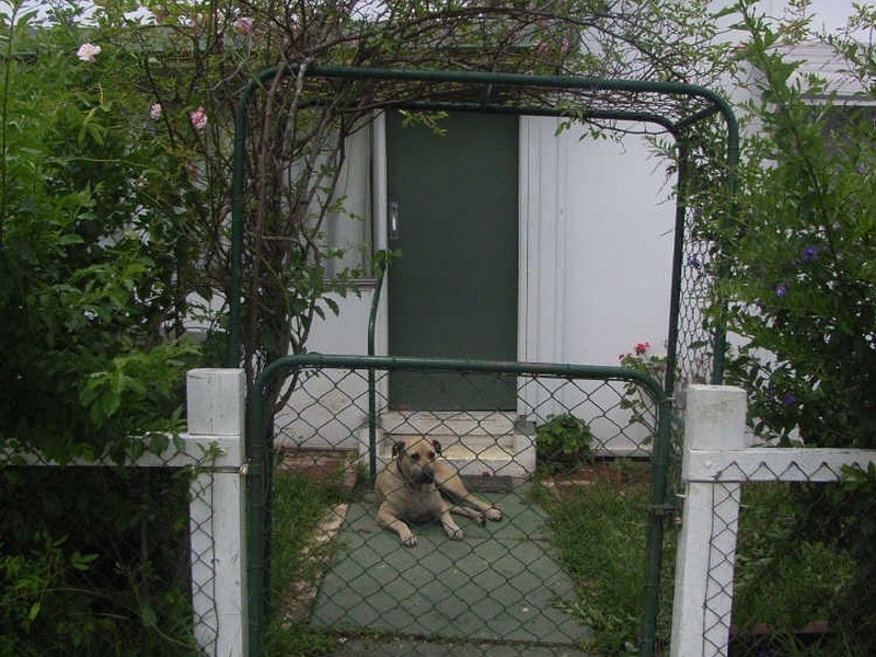 Mallanganee NSW 2469