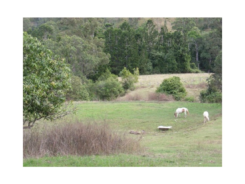 Geneva NSW 2474