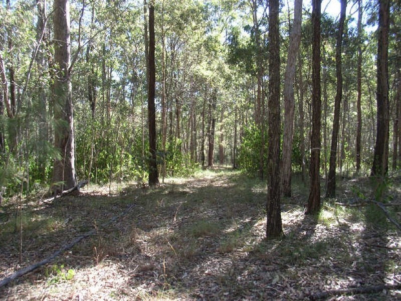 6794 Bruxner Highway, Tabulam NSW 2469