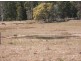 Ellangowan NSW 2470