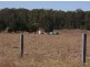 Ellangowan NSW 2470