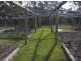 Drake NSW 2469