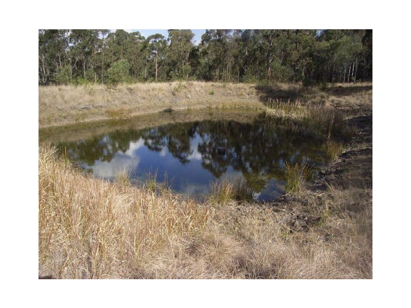 Drake NSW 2469