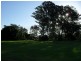 4625 Bruxner Highway, Piora NSW 2470