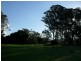 4625 Bruxner Highway, Piora NSW 2470