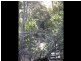 4625 Bruxner Highway, Piora NSW 2470