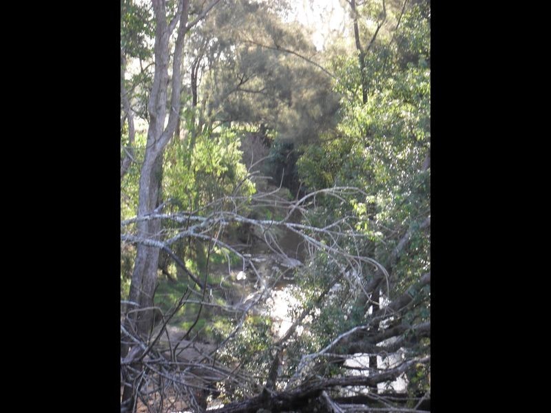 4625 Bruxner Highway, Piora NSW 2470
