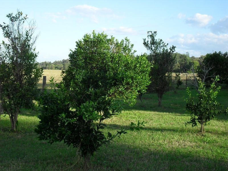 4625 Bruxner Highway, Piora NSW 2470