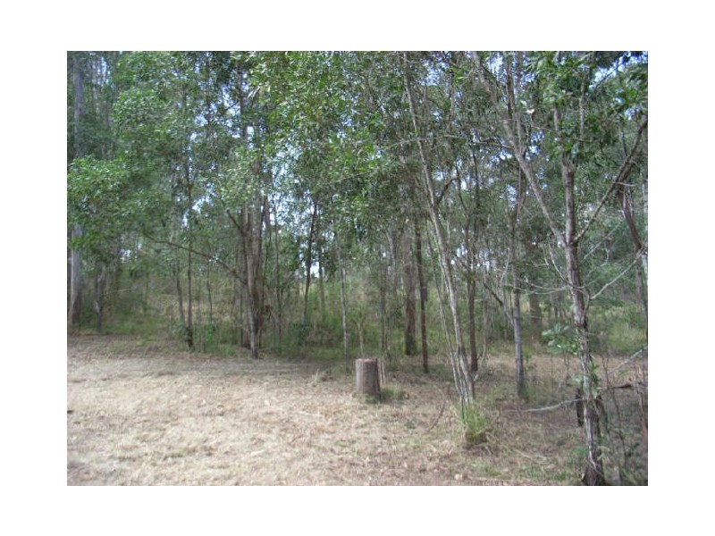 Ellangowan NSW 2470